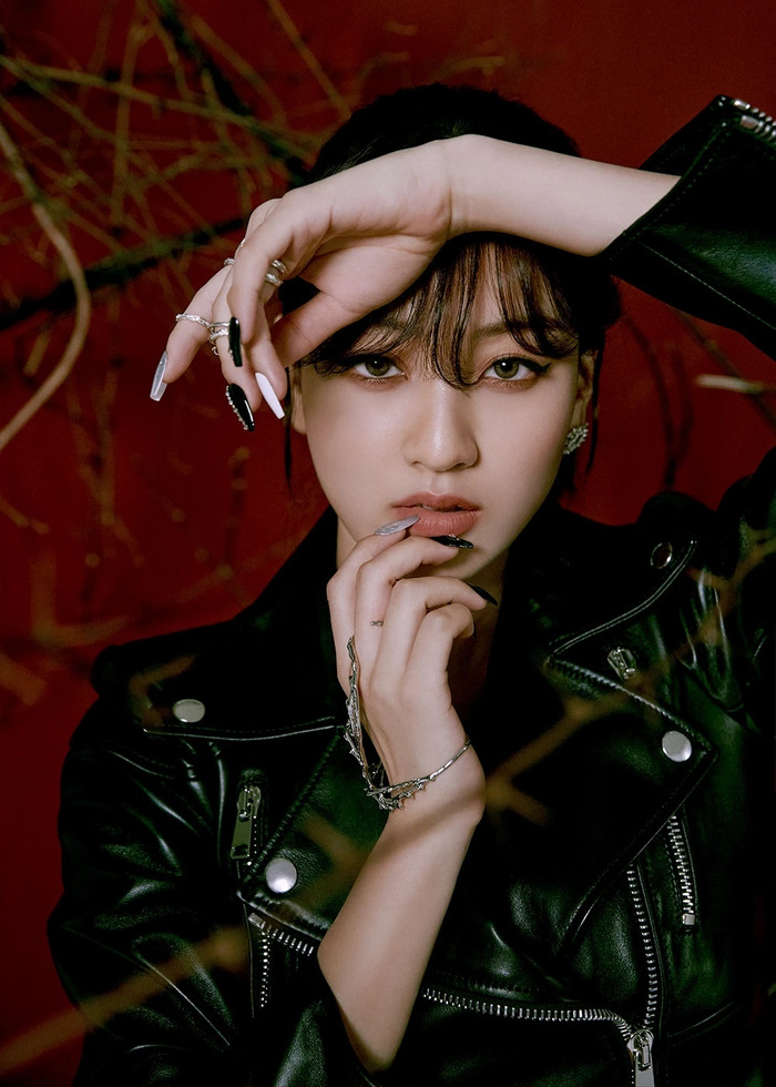 Jihyo (TWICE) gây tranh cãi vì thành lập công ty riêng, BLACKPINK bất ngờ bị gọi tên Ảnh 1