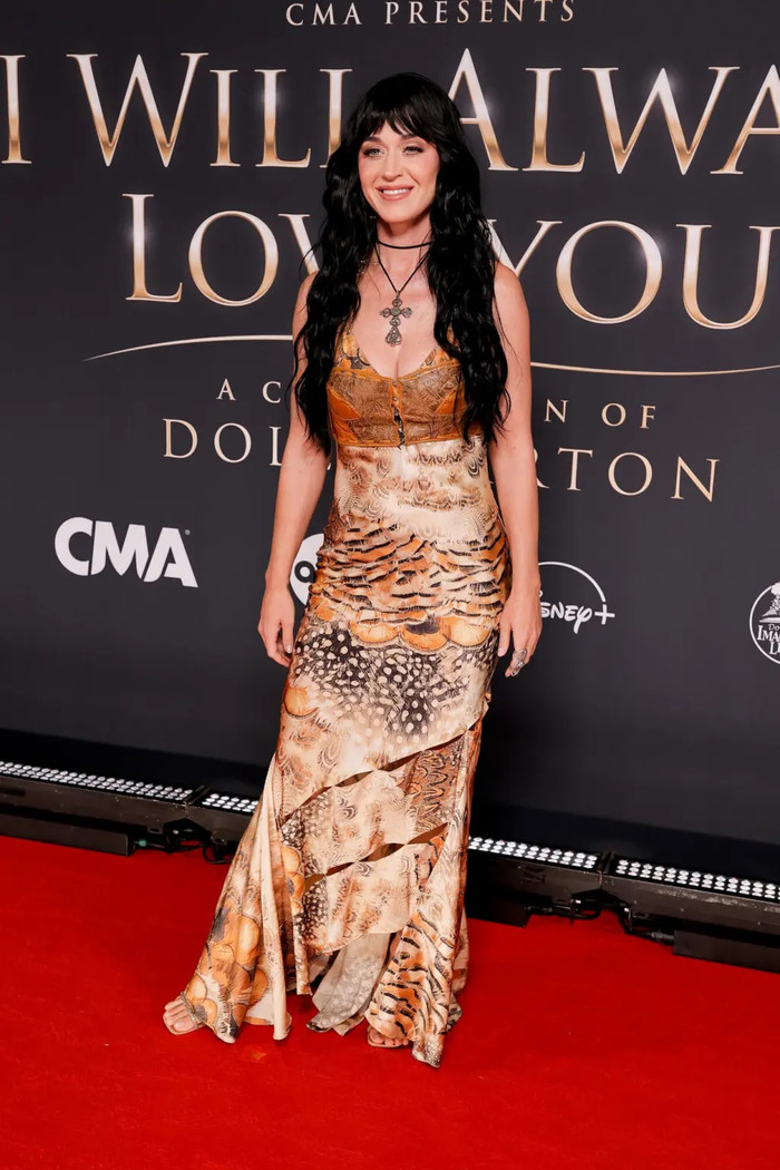 Dolly Parton và điều khiến cả Hollywood tiếc thương Ảnh 5