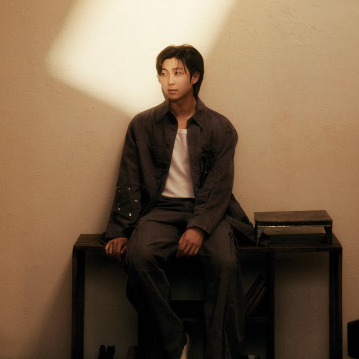 RM (BTS) giúp bảo tàng nghệ thuật Mỹ thoát khỏi khủng hoảng tài chính Ảnh 1