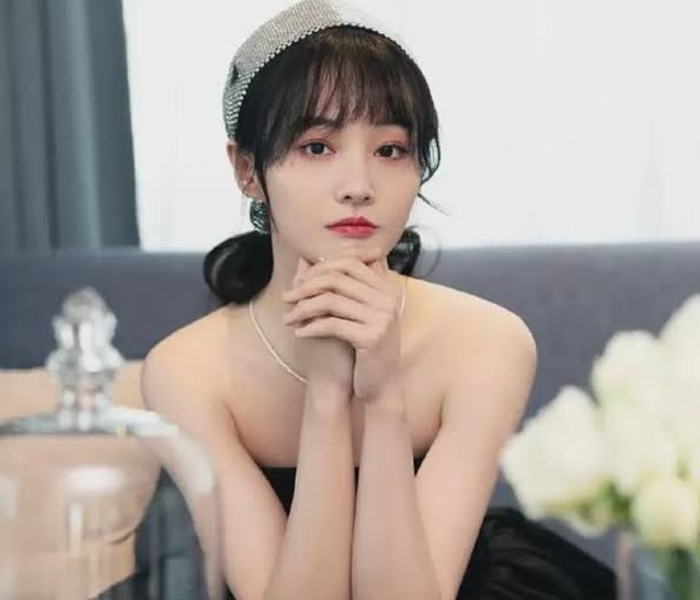 Trịnh Sảng dần xuất hiện trở lại trước công chúng nhưng chưa công bố kế hoạch tái xuất màn ảnh.