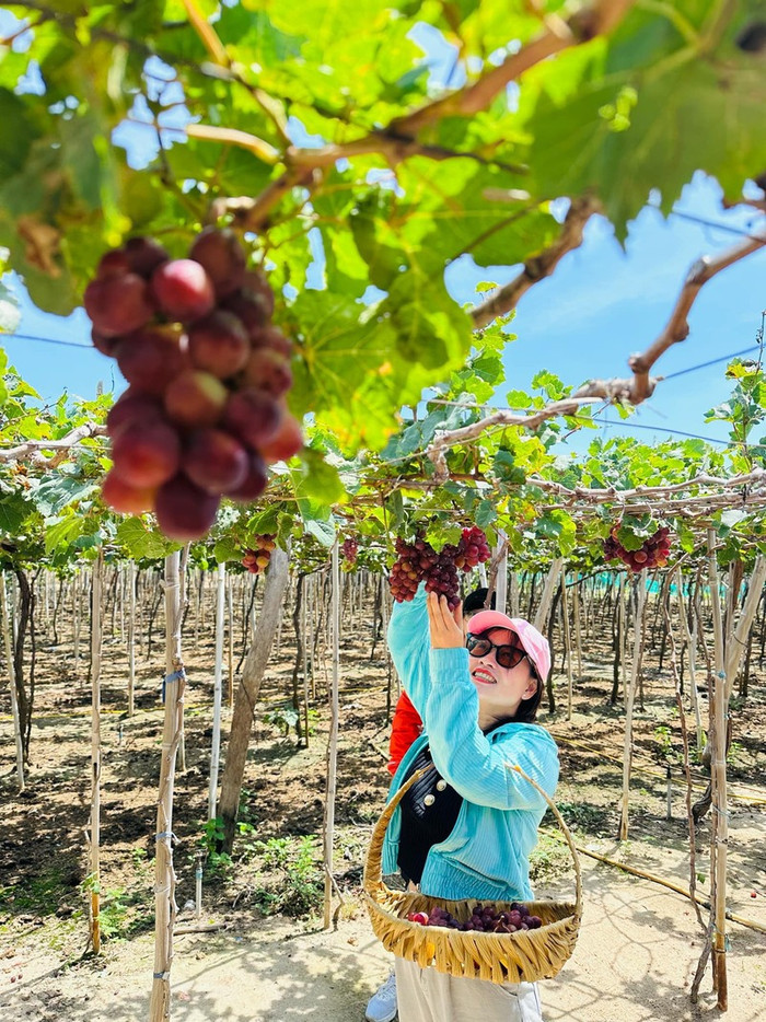 Sau đám cưới, Phương Mỹ Chi về quê người thương: Đây là những địa điểm nhất định phải ghé thăm! Ảnh 12