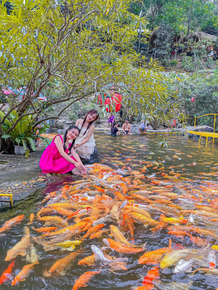 Xứ Nghệ quê bà xã Hồ Văn Cường có một con suối phủ kín cá vàng, lên hình đẹp như cảnh phim Ảnh 6