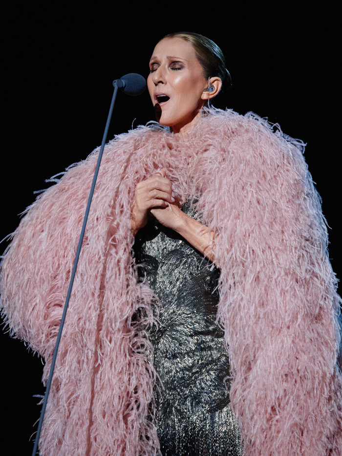 Céline Dion thu về hơn 3 nghìn tỷ đồng sau chặng diễn đầu tiên tại Paris, lập loạt kỷ lục ấn tượng Ảnh 4
