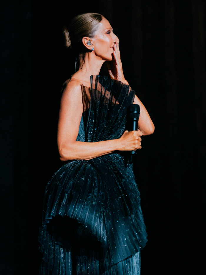 Céline Dion thu về hơn 3 nghìn tỷ đồng sau chặng diễn đầu tiên tại Paris, lập loạt kỷ lục ấn tượng Ảnh 1