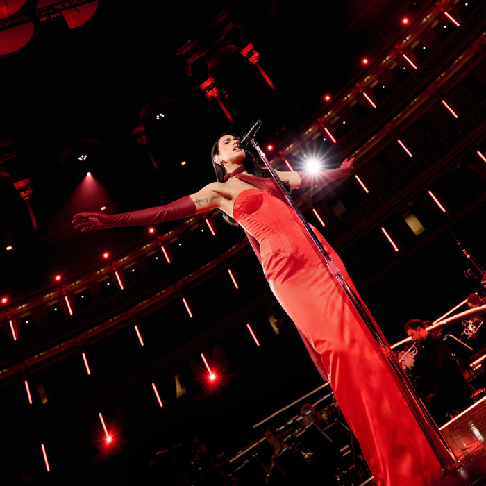 Dua Lipa chuẩn bị trở lại với album mới, hé lộ kế hoạch tour sân vận động năm 2027 Ảnh 5