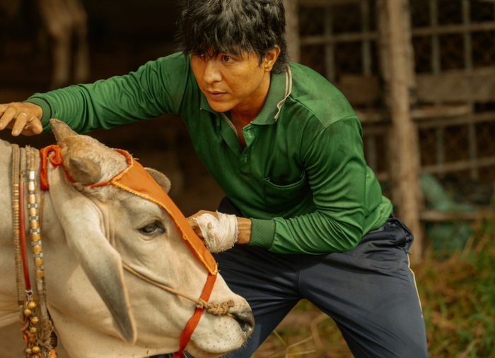 &nbsp;Steven Nguyễn đảm nhận vai nam chính trong Trại Buôn Người.