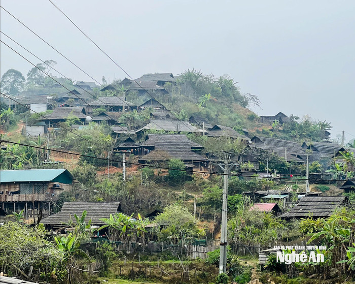 Ảnh: báo Nghệ An