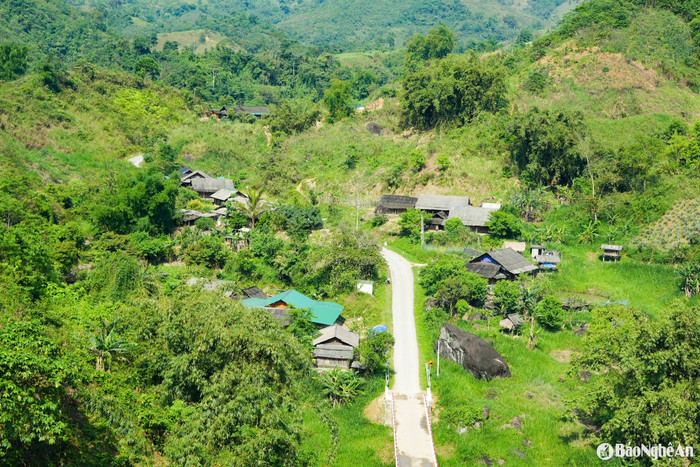 Ảnh: báo Nghệ An