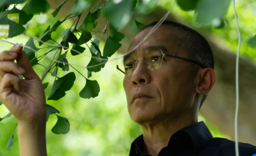 Silent Friend của Ildikó Enyedi là đại diện Hungary. Với sự tham gia của Tony Leung Chiu-wai, phim khai thác mối quan hệ giữa con người, thực vật và thời gian theo cách giàu tính nghệ thuật. Tác phẩm từng nhận 6 giải thưởng tại Liên hoan phim Venice.