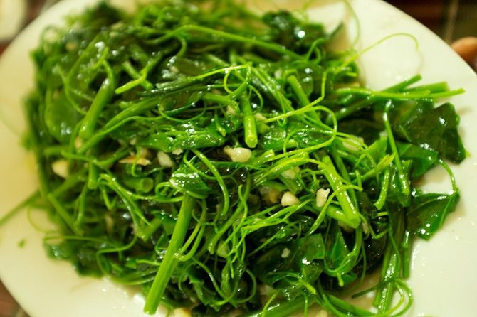 Rau su su - đặc sản Tam Đảo. Ảnh: Sưu tầm