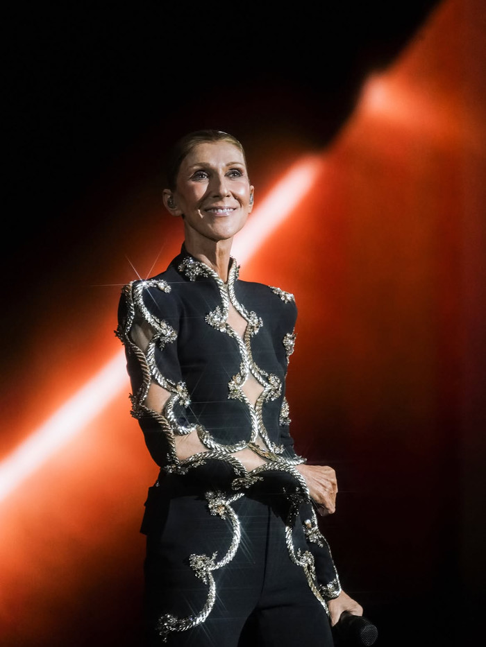 Céline Dion gặp sự cố đau điếng trên sân khấu Ảnh 4