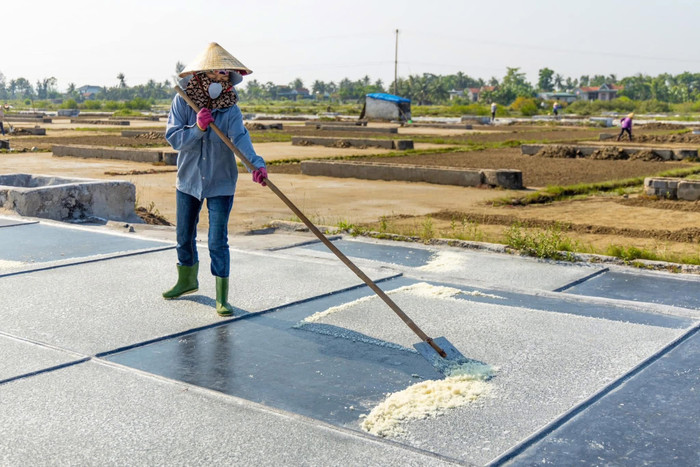 Những trải nghiệm du lịch trên cánh đồng Muối ở Quỳnh Phú. Nguồn: Nguyễn Viết Hùng