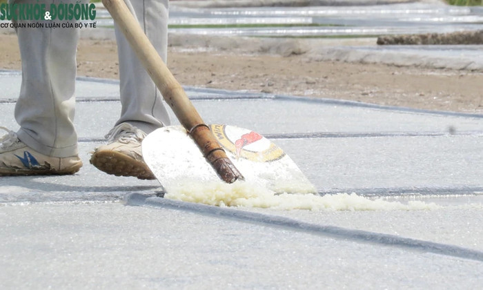 Người dân thu hoạch muối. Ảnh: Sức khỏe & Đời sống