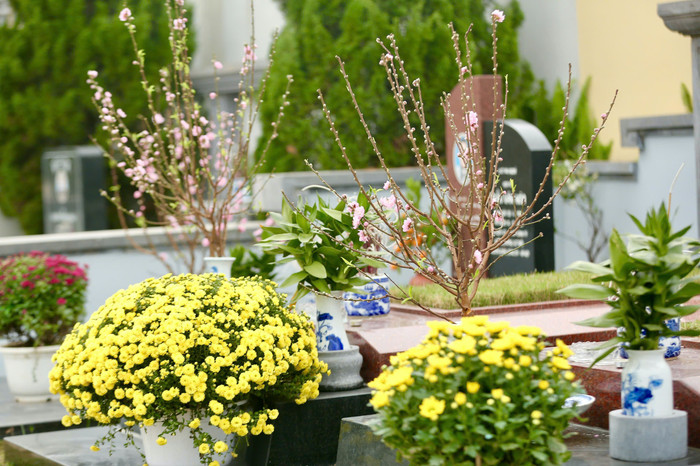 Mỗi độ Tết đến Xuân về, con cháu lại đến phần mộ tổ tiên để dọn dẹp, thắp hương tưởng nhớ và mời ông bà về sum vầy cùng gia đình trong những ngày đầu năm mới.