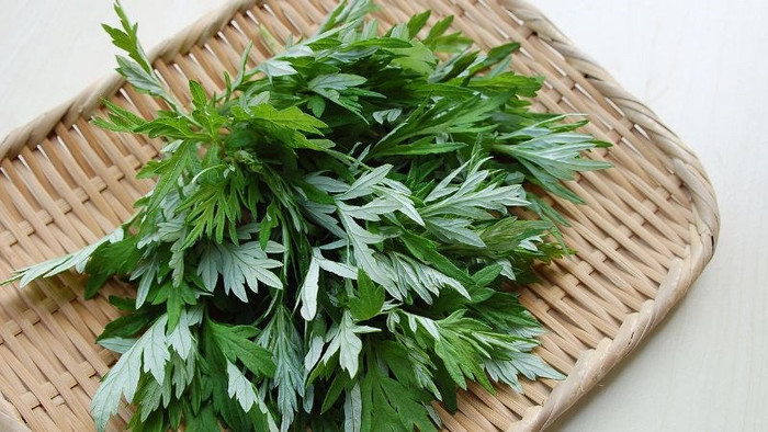 Loại rau được xem như bí quyết 'trường sinh bất lão' của chị em phụ nữ Ảnh 4