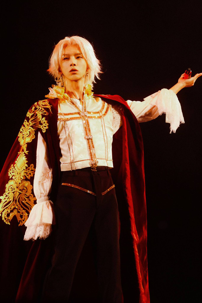 Nam ca sĩ hàng đầu showbiz gây sốc khi tuyên bố mua liền 3 khu đất để tổ chức concert Ảnh 2