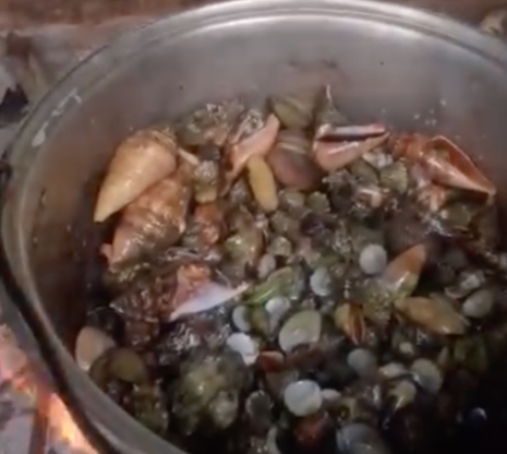 Ăn 'cua quỷ', người phụ nữ 51 tuổi tử vong sau 2 ngày Ảnh 1