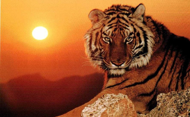 Sau Rằm tháng Giêng, 3 con giáp đổi vận bất ngờ, tài lộc gõ cửa Ảnh 2