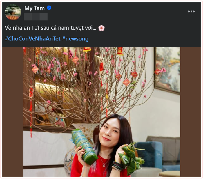 Về quê đón Tết, Mỹ Tâm báo 'tin vui' Ảnh 2
