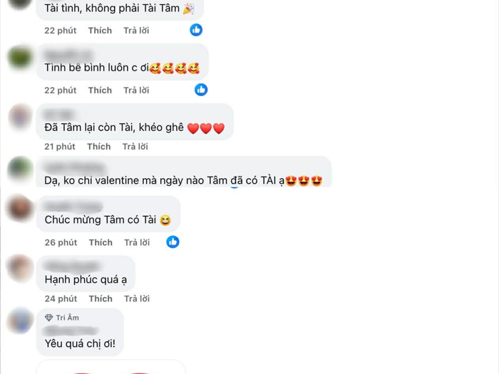 Phản ứng của khán giả bên dưới bài đăng của Mỹ Tâm (Ảnh: Chụp màn hình).