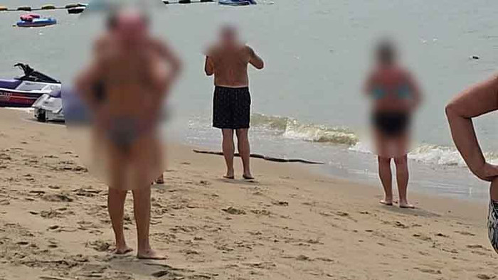 Sinh vật đáng sợ trôi vào bãi biển, khách du lịch hoảng loạn bỏ chạy Ảnh 1