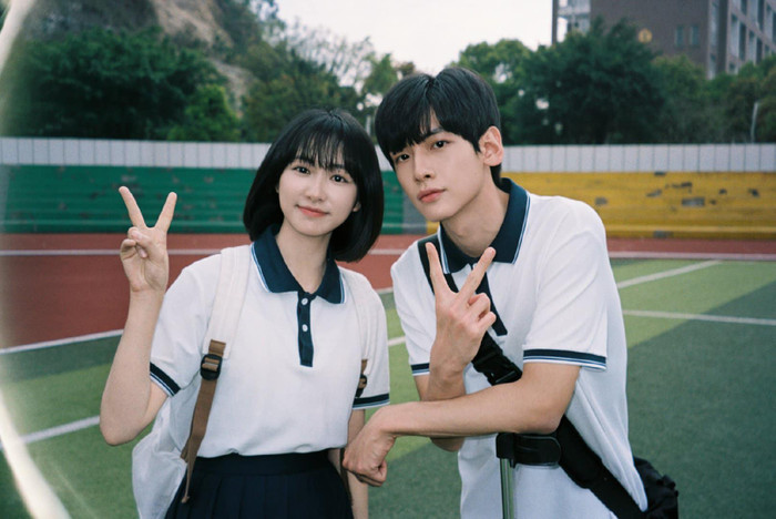 Phim Dưới Tán Cây Có Ngôi Nhà Mái Đỏ.