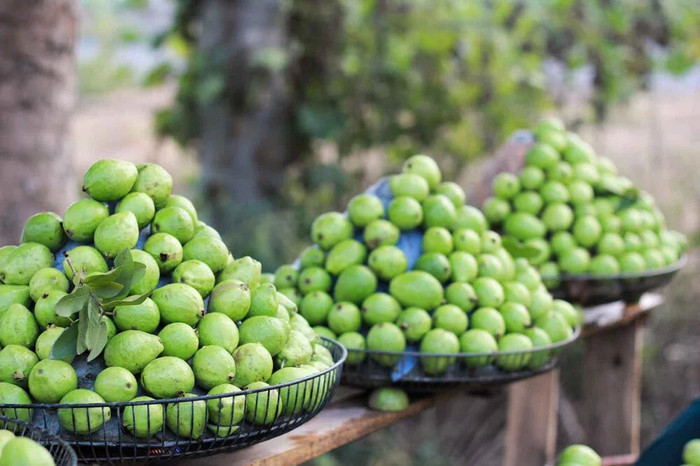 Tết về Hưng Yên quê Sơn Tùng M-TP, thưởng thức loạt món ngon nức tiếng Ảnh 7