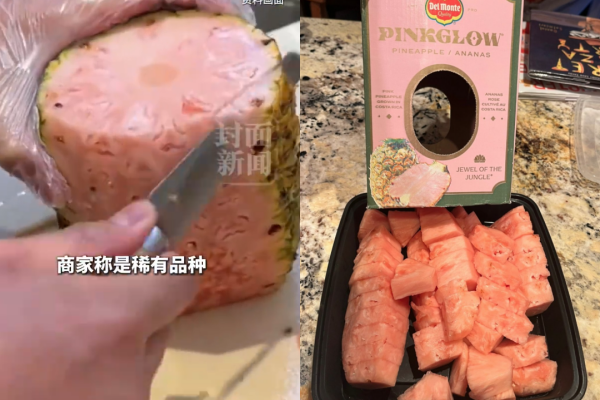 Phát sốt với loại quả ruột hồng có vị ngọt như kẹo, giá một trái khiến ai cũng 'sốc' Ảnh 4