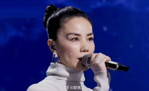 Thất vọng với 'Thiên hậu' Vương Phi Ảnh 2