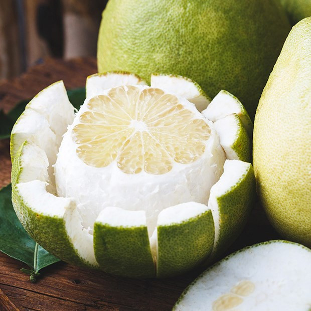 Một bộ phận 'quý như vàng' của quả bưởi nhưng nhiều người vô tư vứt đi Ảnh 1