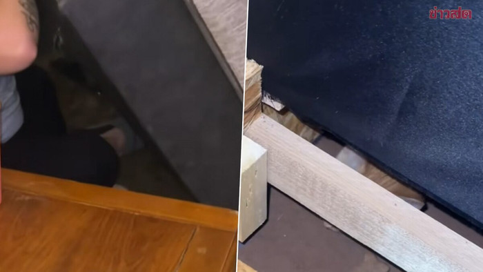 Mua ghế sofa cũ, cặp vợ chồng 'đứng tim' khi phát hiện vị khách nằm bên trong Ảnh 1