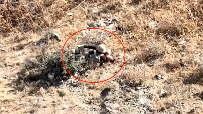 Đi du lịch đầu năm cùng gia đình, bé trai 8 tuổi gặp sự việc thương tâm Ảnh 1