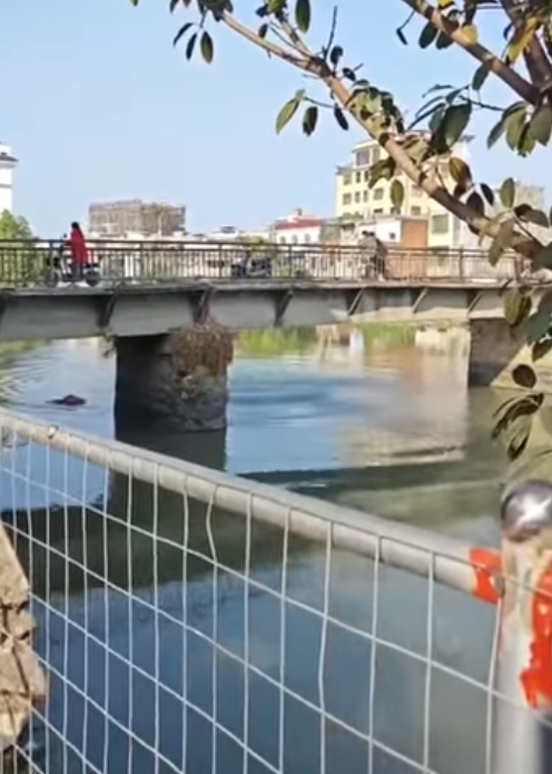 Cãi nhau với vợ trên cầu, người chồng ném con trai xuống sông gây phẫn nộ Ảnh 2