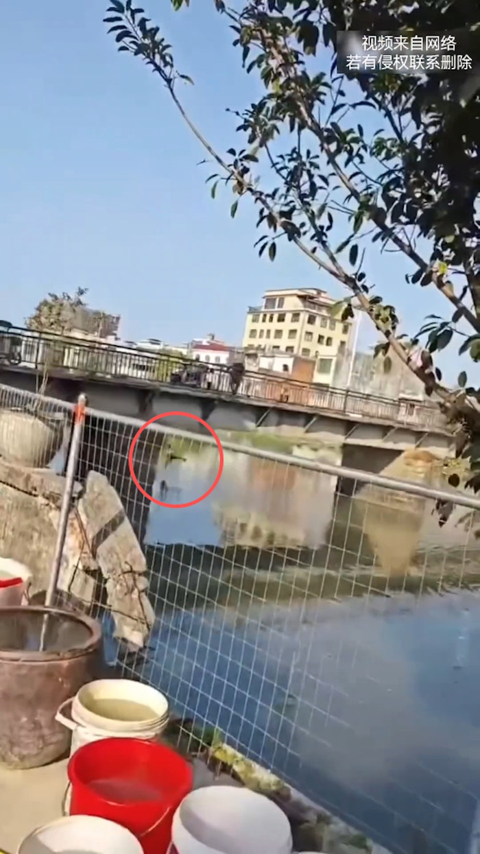 Cãi nhau với vợ trên cầu, người chồng ném con trai xuống sông gây phẫn nộ Ảnh 3