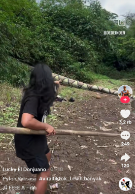 Đang quay video phong cảnh, thanh niên bắt gặp cảnh tượng 'rùng mình' Ảnh 2