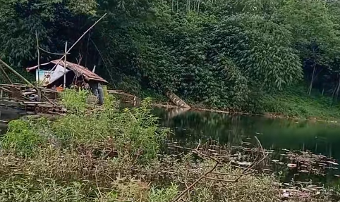 Đang quay video phong cảnh, thanh niên bắt gặp cảnh tượng 'rùng mình' Ảnh 1