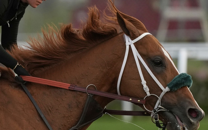 Ảnh minh họa&nbsp;