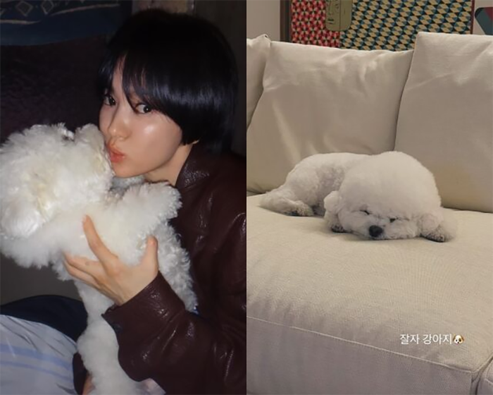 Song Hye Kyo chia sẻ khoảnh khắc bên thú cưng khiến nhiều khán giả thích thú.
