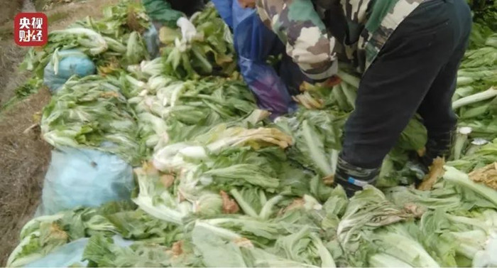 Phẫn nộ người đàn ông khạc nhổ vào thùng dưa cải muối bán ra thị trường Ảnh 3