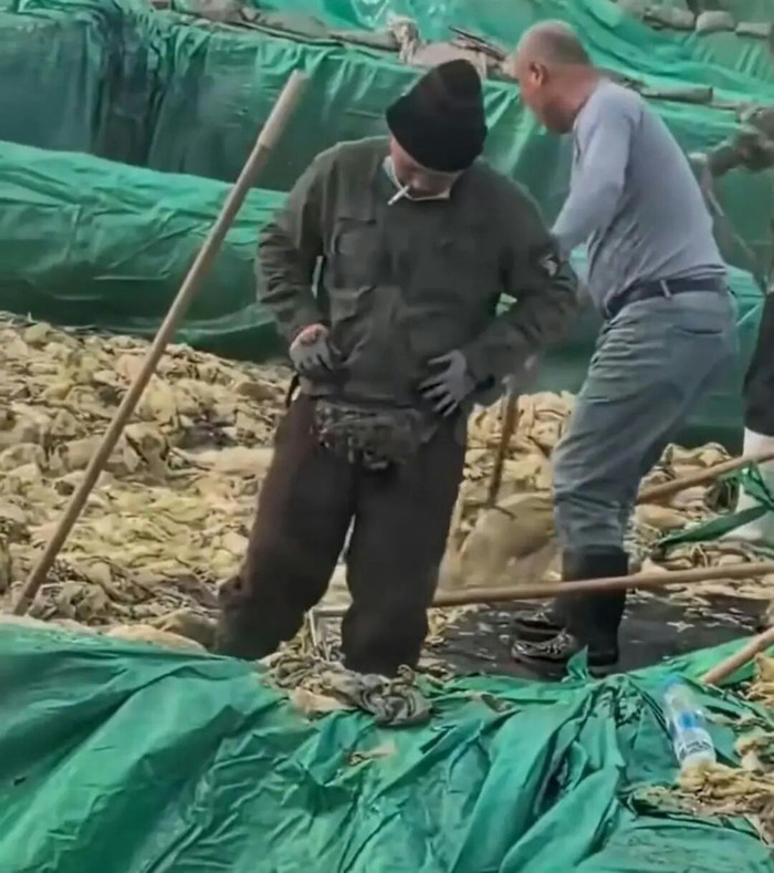 Phẫn nộ người đàn ông khạc nhổ vào thùng dưa cải muối bán ra thị trường Ảnh 2