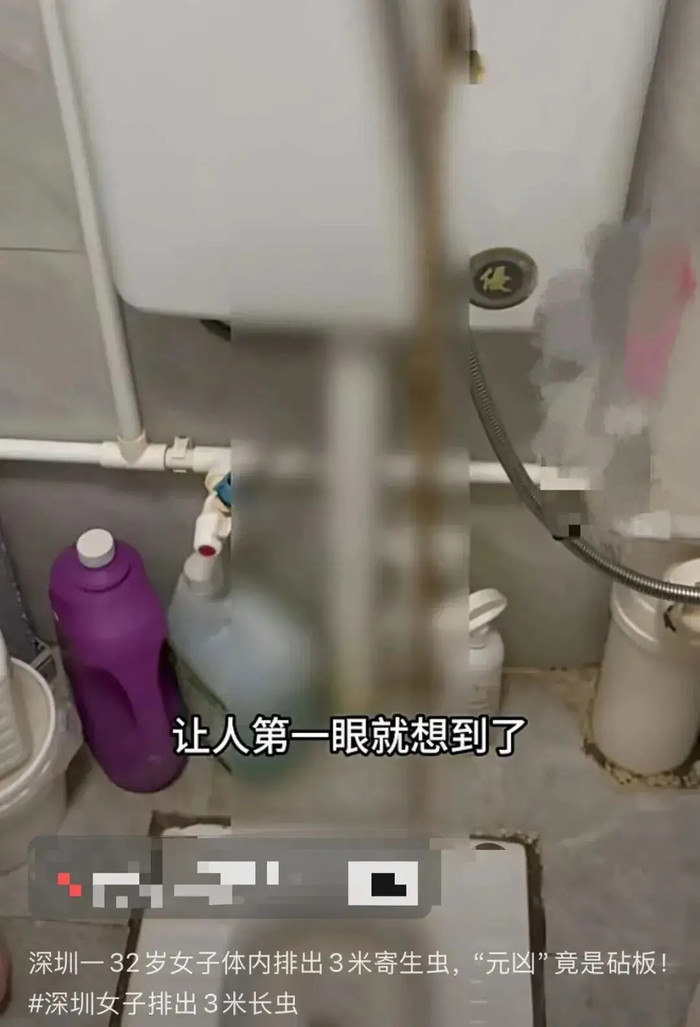 Đi vệ sinh, người phụ nữ kinh hoàng khi sinh vật dài 3 mét chui ra từ cơ thể Ảnh 1