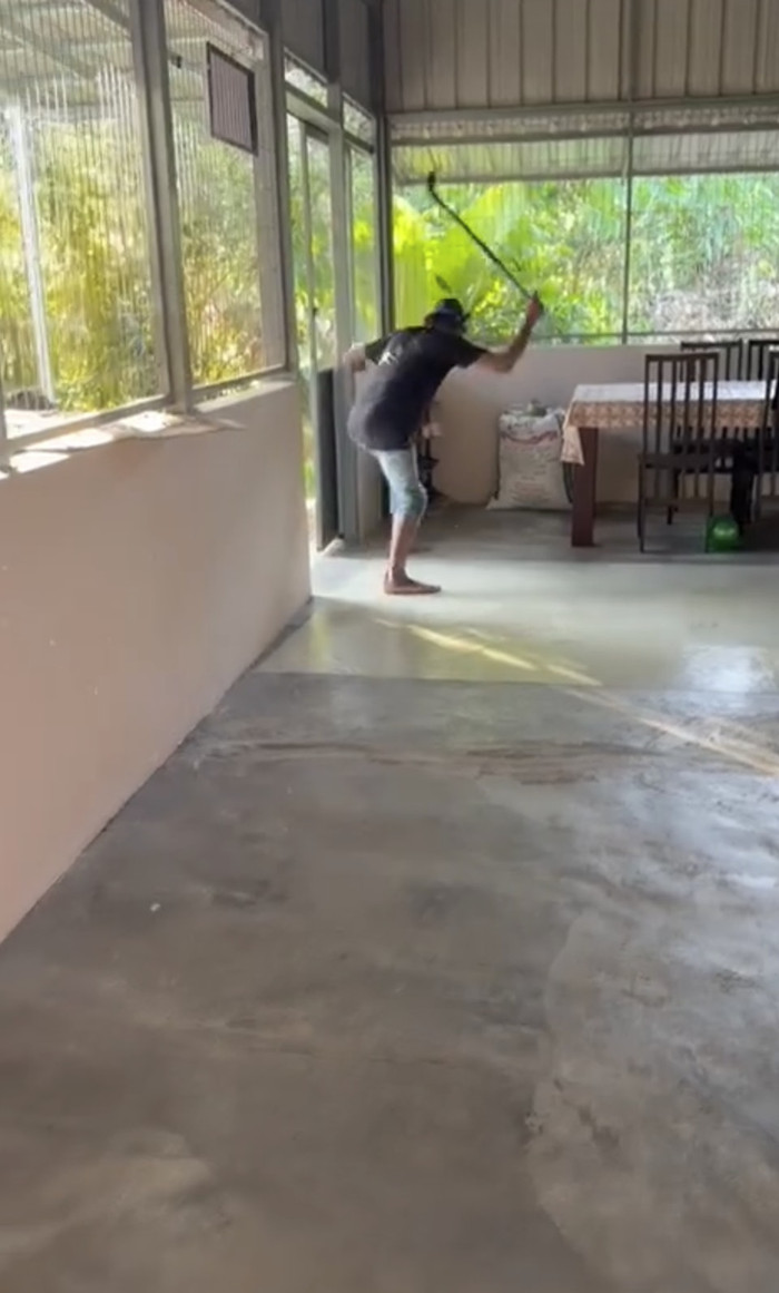 Người đàn ông chiến đấu với con rắn hổ mang chúa, cảnh tượng khiến ai xem cũng 'thót tim' Ảnh 2