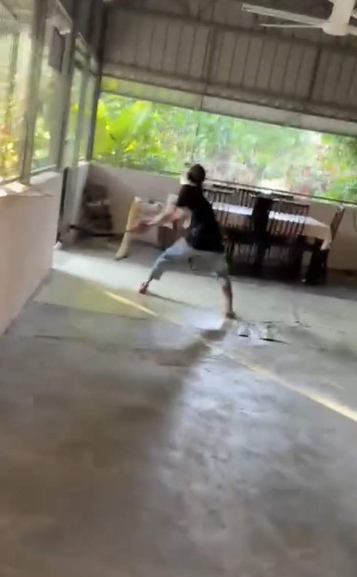 Người đàn ông chiến đấu với con rắn hổ mang chúa, cảnh tượng khiến ai xem cũng 'thót tim' Ảnh 3