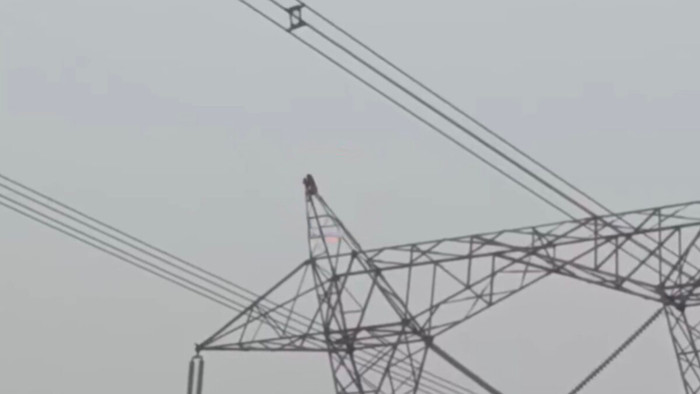 Người vợ leo lên cột điện cao thế vì giận chồng, cảnh tượng khiến dân làng xôn xao Ảnh 2