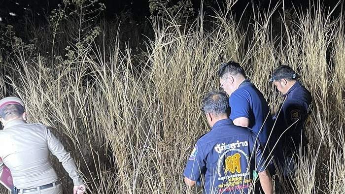 Ra đồng bẫy chim cút, người đàn ông 'rụng rời' tay chân trước cảnh tượng kinh hoàng Ảnh 1