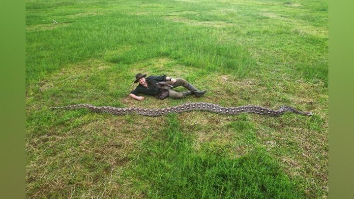 Ảnh: Kỷ lục Guinness Thế giới.