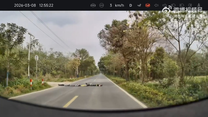 Đang lái xe, tài xế hốt hoảng thắng gấp khi chứng kiến cảnh tượng giữa đường Ảnh 1