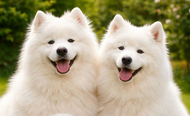 5 con giáp sống nguyên tắc với tiền bạc, ít khi rơi vào cảnh thiếu trước hụt sau nhờ thói quen chi tiêu hợp lý Ảnh 5