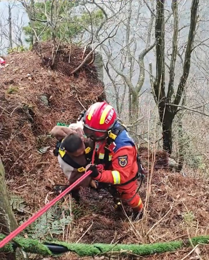 Cậu bé bị con khỉ lôi xuống vách đá, người cha nhảy theo cứu con trai Ảnh 2
