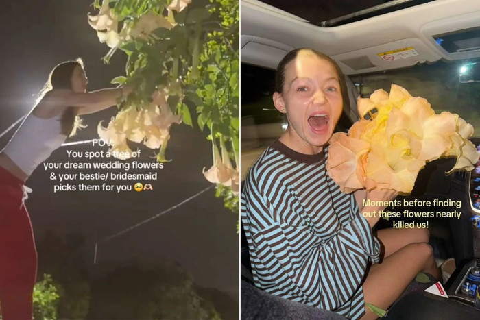 Hái hoa bên đường để làm hoa đám cưới, cô dâu phát hoảng khi biết sự thật Ảnh 3